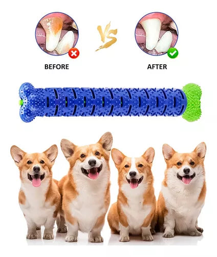 Cepillo de dientes hueso para mascotas