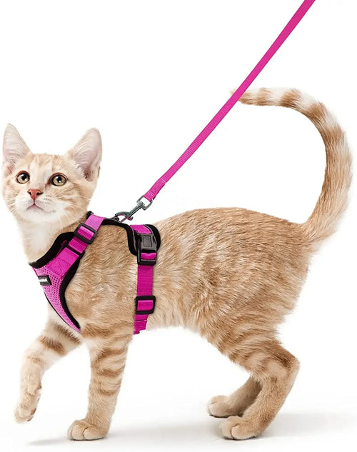 Arnés Ajustable para Gatos con Correa | Chaleco Suave Antiescape con Tiras Reflectantes | Arnés Transpirable para Paseos Seguros