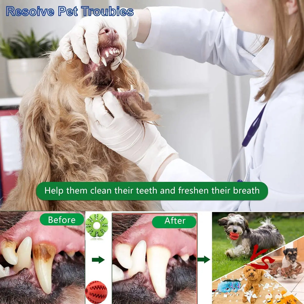 Pelota Mordedora de Caucho Natural para Perros | Juguete Interactivo Resistente para Limpieza Dental y Entretenimiento