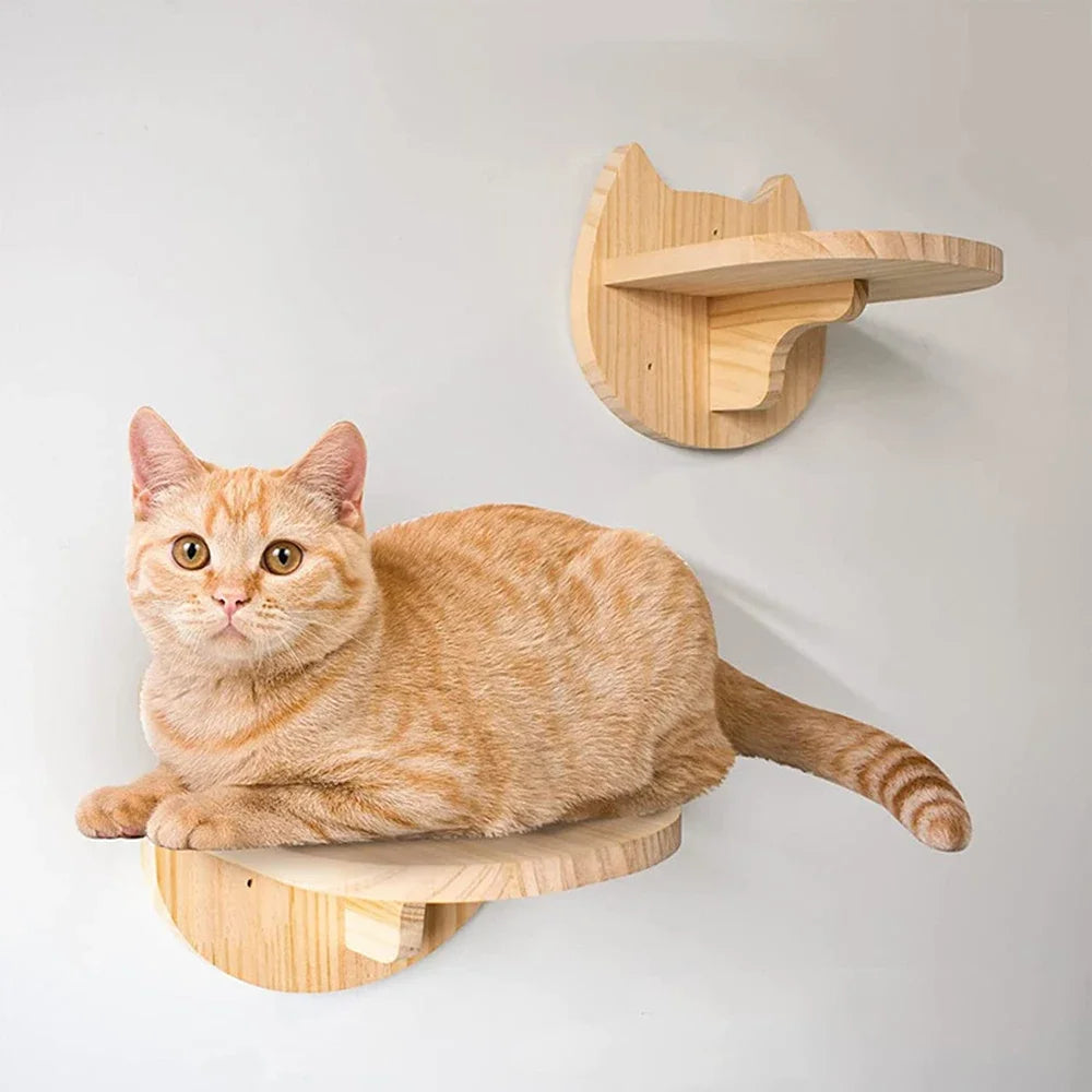 Estantes de Pared para Gatos | Escalera Trepadora con Rascador, Cama y Casa Escondite | Muebles de Interior para Mascotas