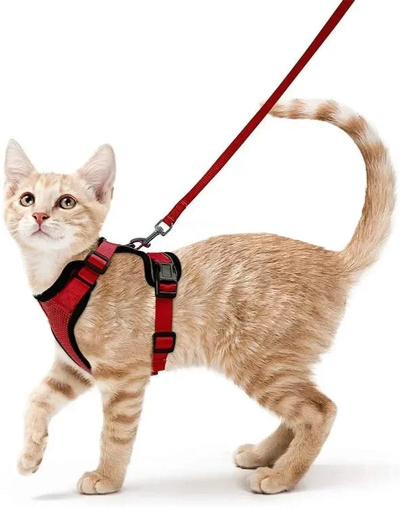 Arnés Ajustable para Gatos con Correa | Chaleco Suave Antiescape con Tiras Reflectantes | Arnés Transpirable para Paseos Seguros