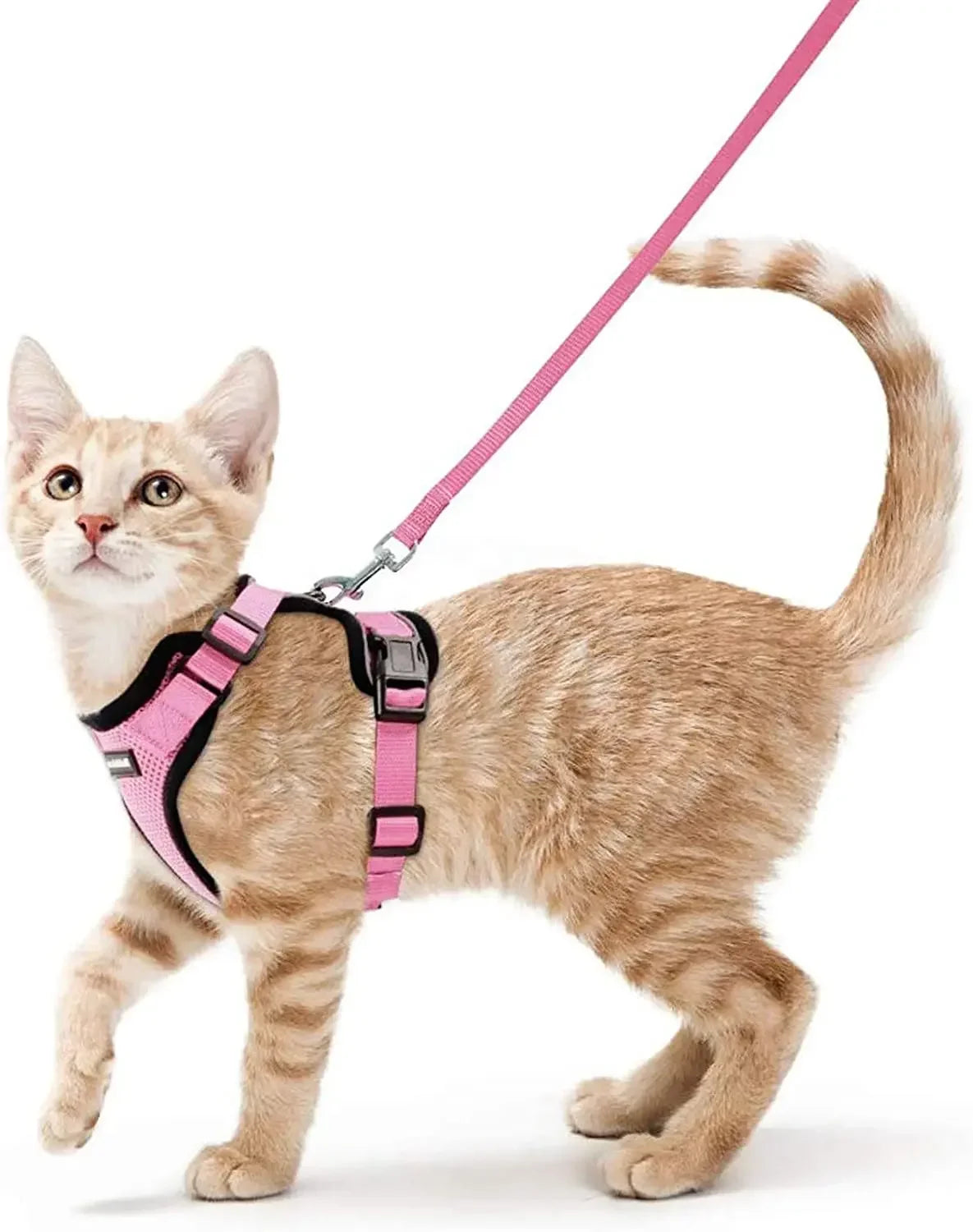 Arnés Ajustable para Gatos con Correa | Chaleco Suave Antiescape con Tiras Reflectantes | Arnés Transpirable para Paseos Seguros
