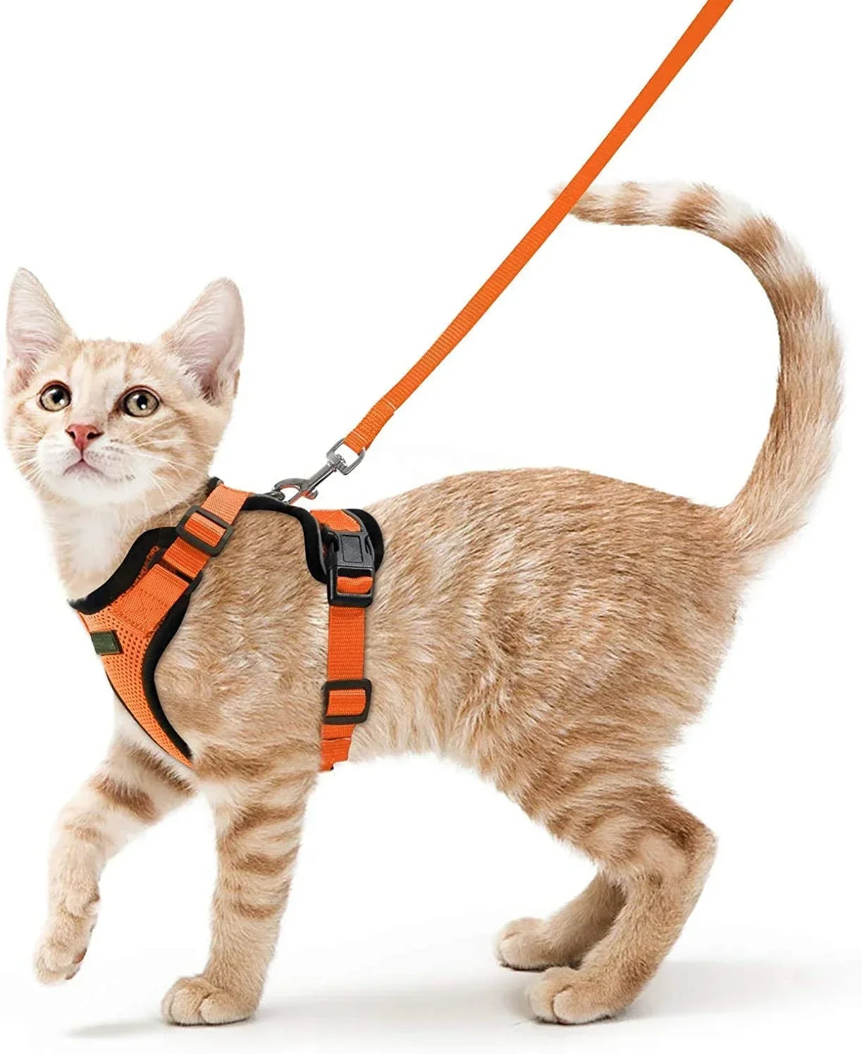 Arnés Ajustable para Gatos con Correa | Chaleco Suave Antiescape con Tiras Reflectantes | Arnés Transpirable para Paseos Seguros