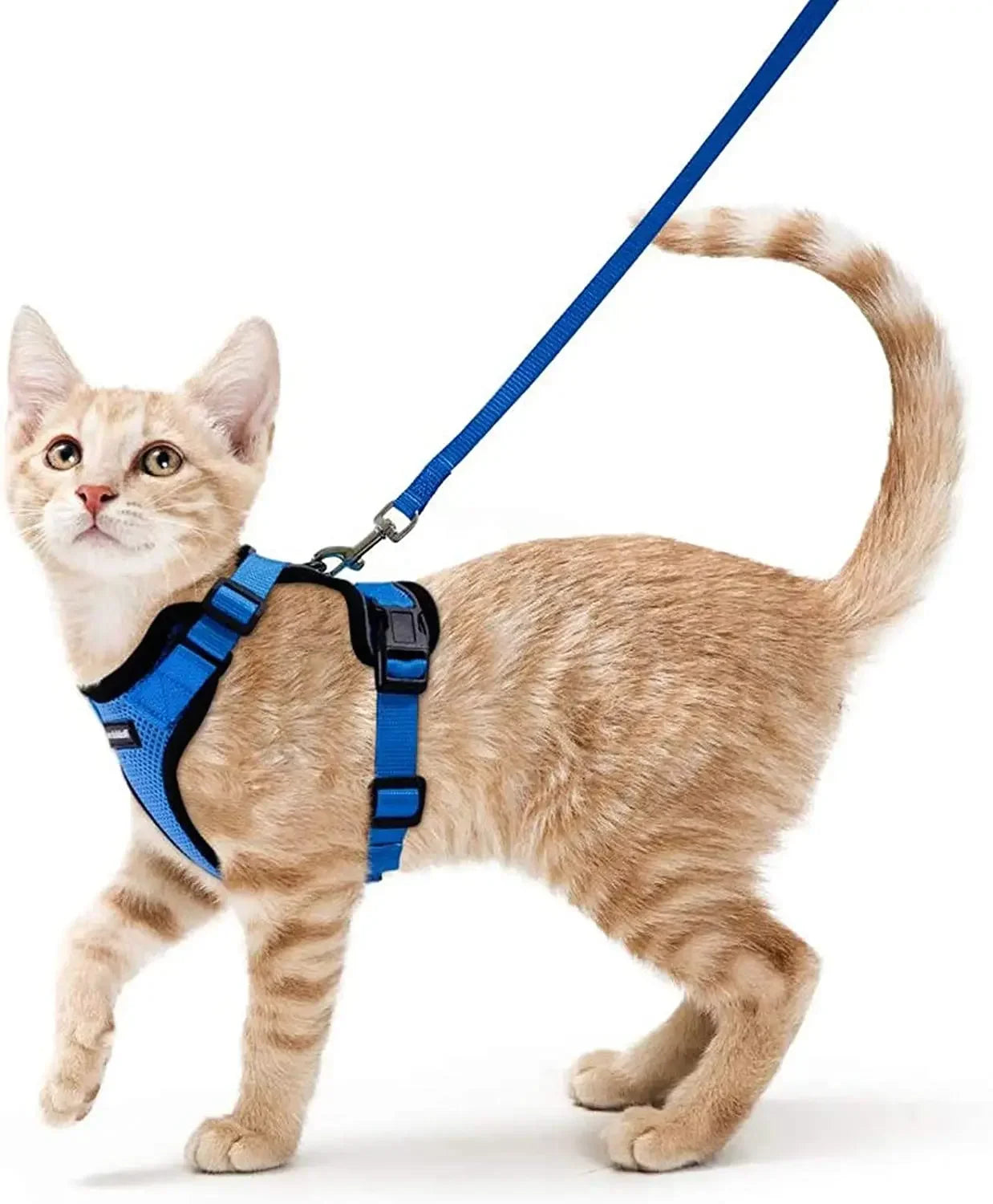Arnés Ajustable para Gatos con Correa | Chaleco Suave Antiescape con Tiras Reflectantes | Arnés Transpirable para Paseos Seguros