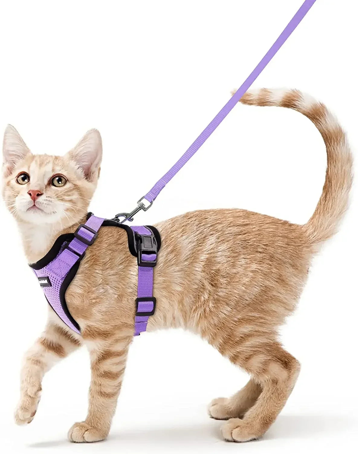 Arnés Ajustable para Gatos con Correa | Chaleco Suave Antiescape con Tiras Reflectantes | Arnés Transpirable para Paseos Seguros