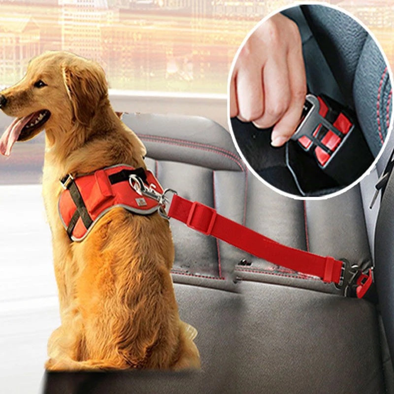Cinturón de Seguridad Ajustable para Mascotas | Correa de Sujeción para Auto para Perros y Gatos | Arnés de Seguridad para Viajes en Vehículo