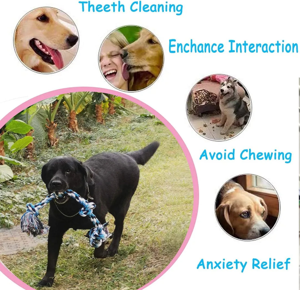 Juguete de Cuerda para Perros de Algodón Resistente | Mordedera para Limpieza Dental y Cuidado de Encías