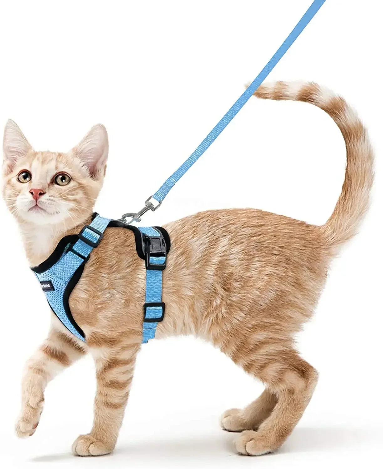 Arnés Ajustable para Gatos con Correa | Chaleco Suave Antiescape con Tiras Reflectantes | Arnés Transpirable para Paseos Seguros