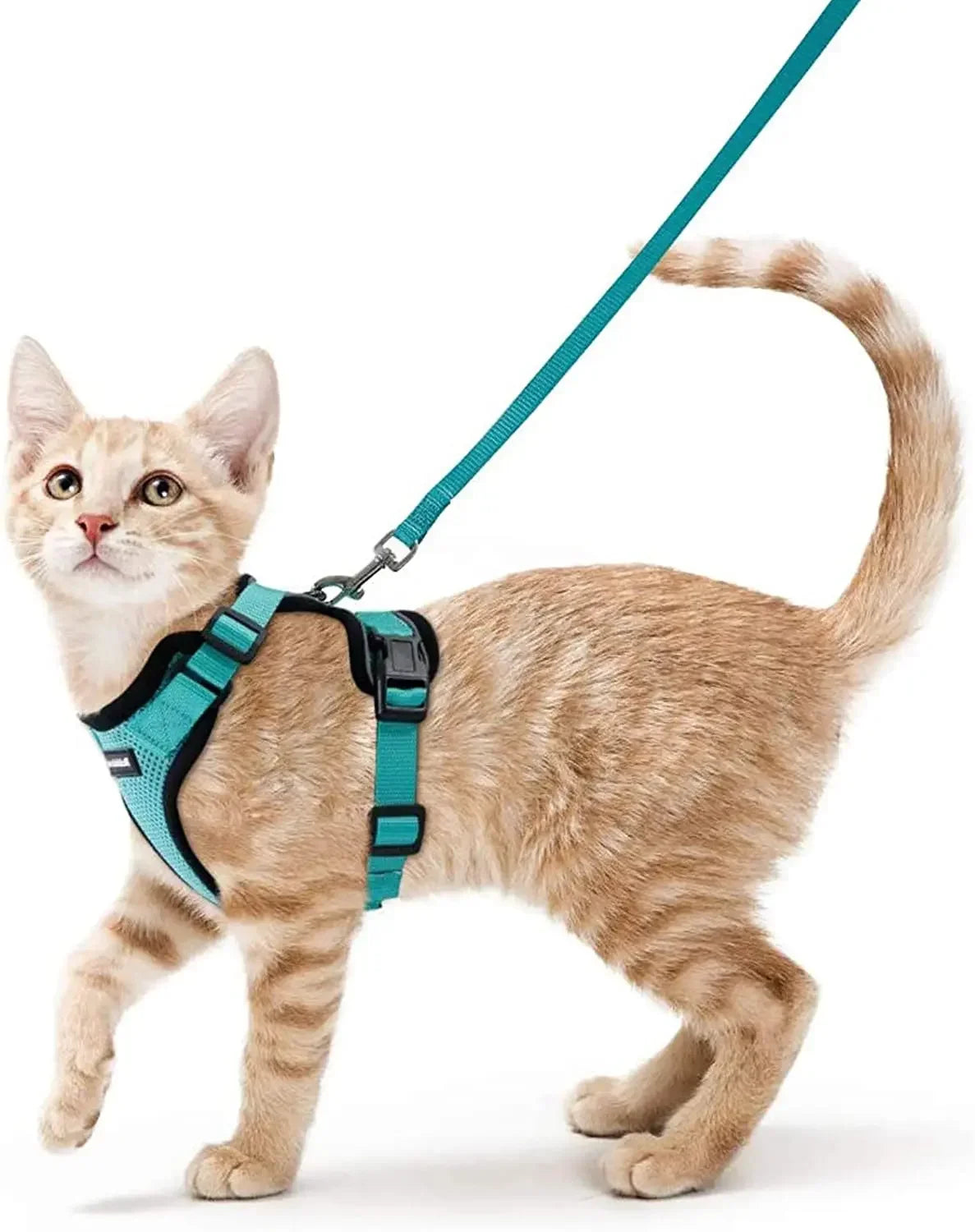 Arnés Ajustable para Gatos con Correa | Chaleco Suave Antiescape con Tiras Reflectantes | Arnés Transpirable para Paseos Seguros