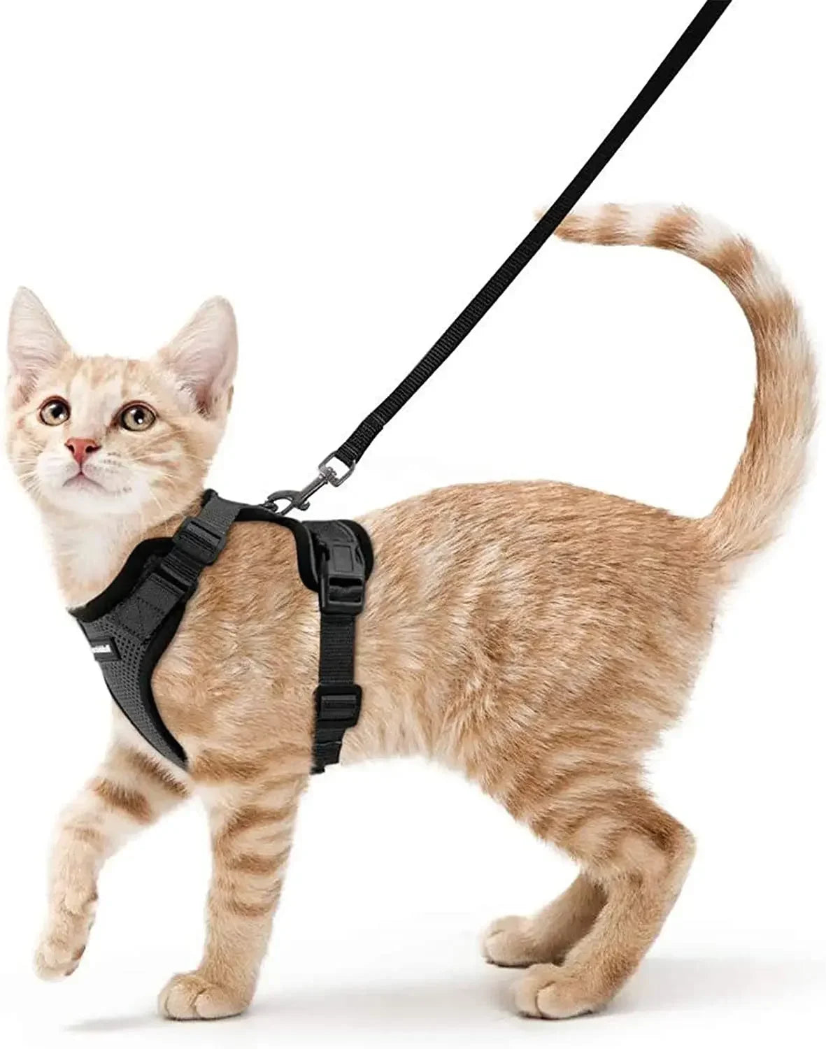 Arnés Ajustable para Gatos con Correa | Chaleco Suave Antiescape con Tiras Reflectantes | Arnés Transpirable para Paseos Seguros