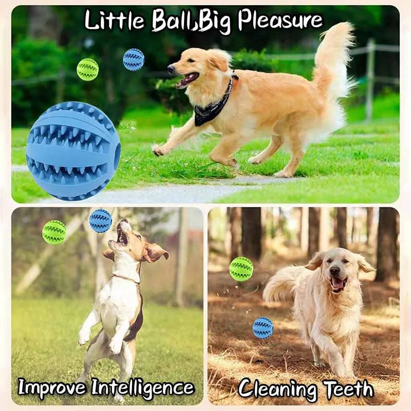 Pelota Mordedora de Caucho Natural para Perros | Juguete Interactivo Resistente para Limpieza Dental y Entretenimiento