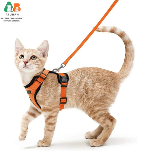 Arnés Ajustable para Gatos con Correa | Chaleco Suave Antiescape con Tiras Reflectantes | Arnés Transpirable para Paseos Seguros